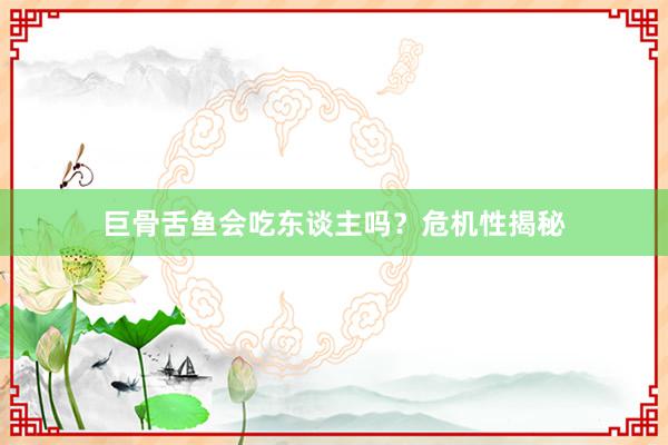 巨骨舌鱼会吃东谈主吗?危机性揭秘